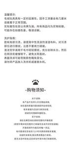 Lion City Theme — Panda Plush Toy