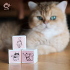 Panny and Cat Series Photosensitive Stamps