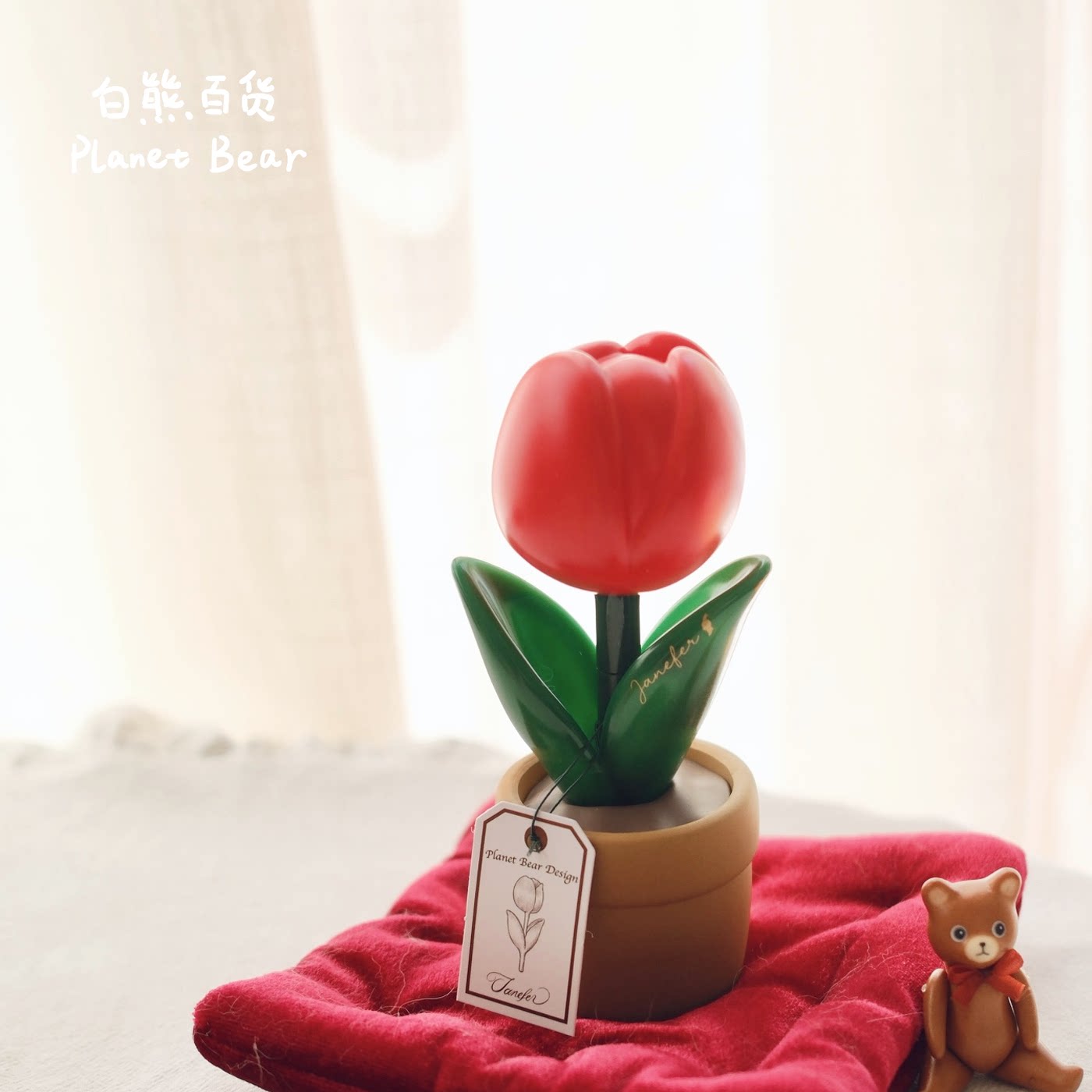【Janefer】珍妮花的礼物—Fortune幸运红色郁金香盆栽