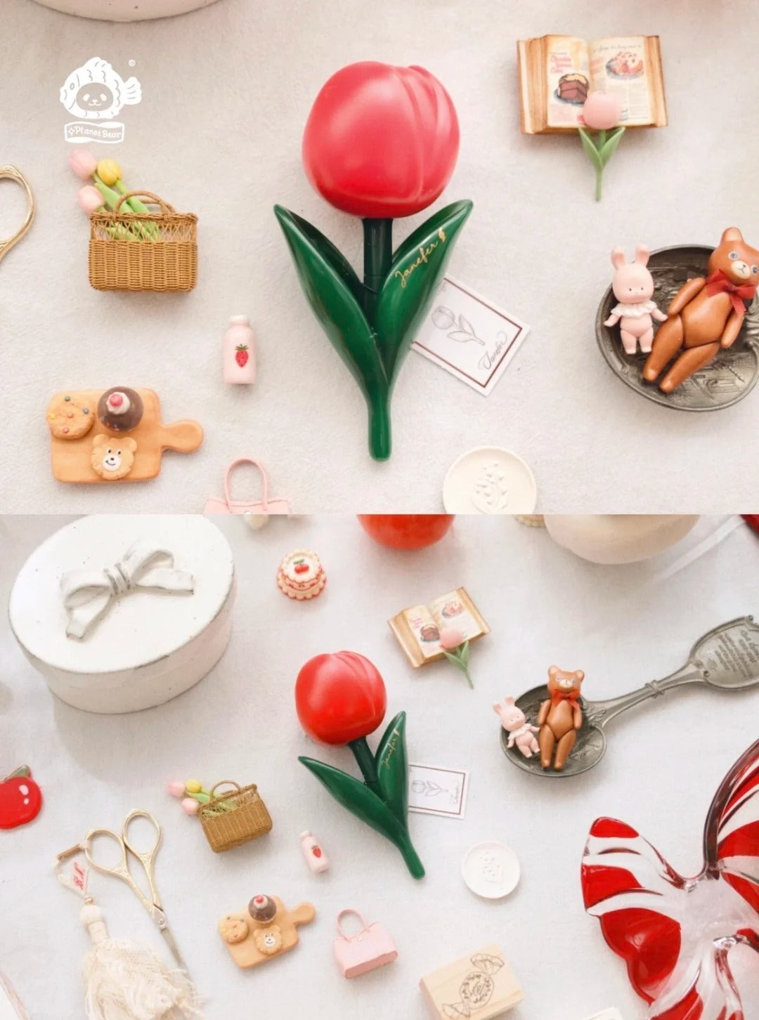 【Janefer】珍妮花的礼物—Fortune幸运红色郁金香盆栽