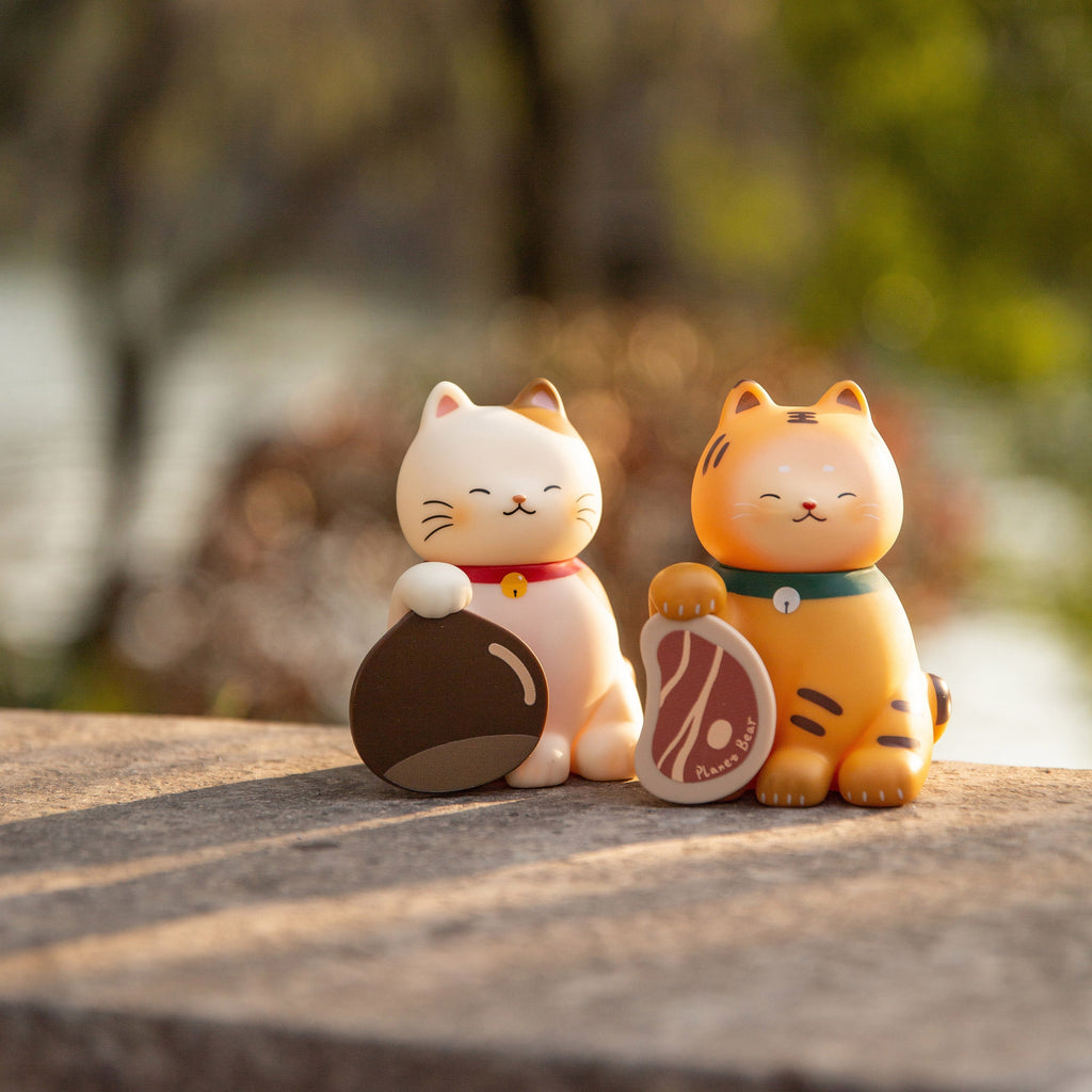 A cat named Xiaoji