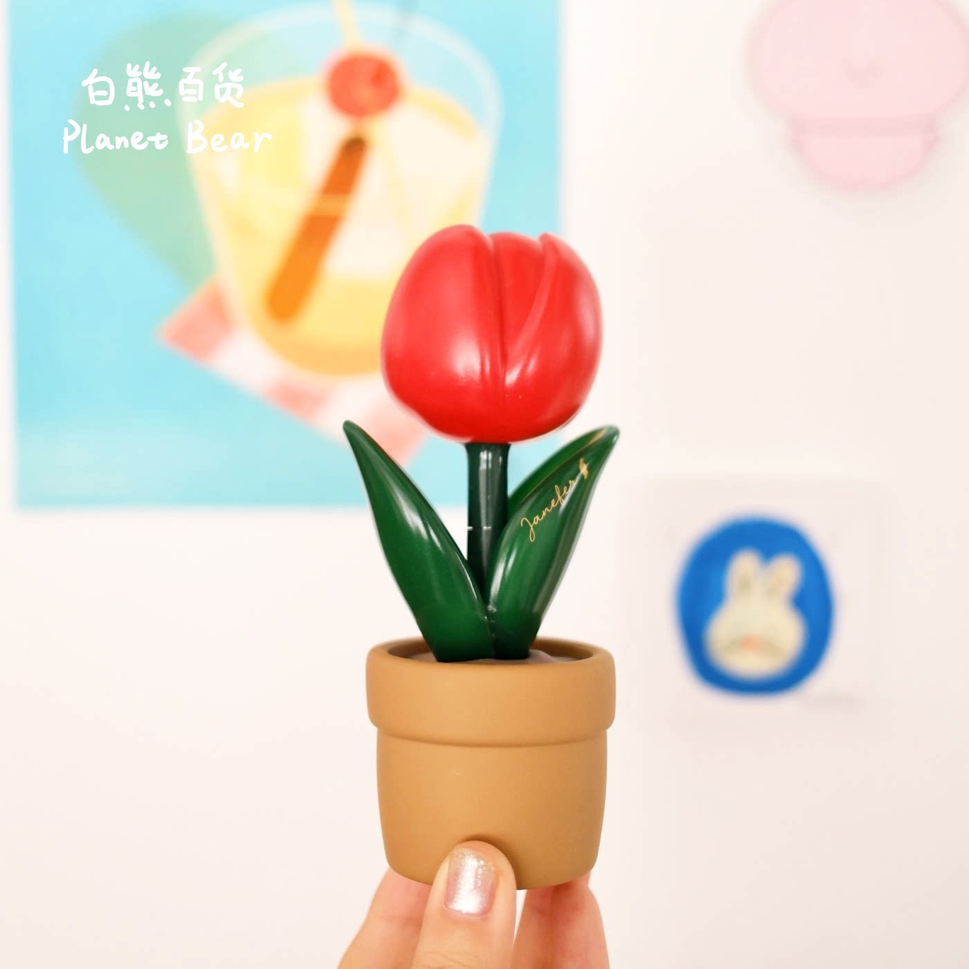 【Janefer】珍妮花的礼物—Fortune幸运红色郁金香盆栽