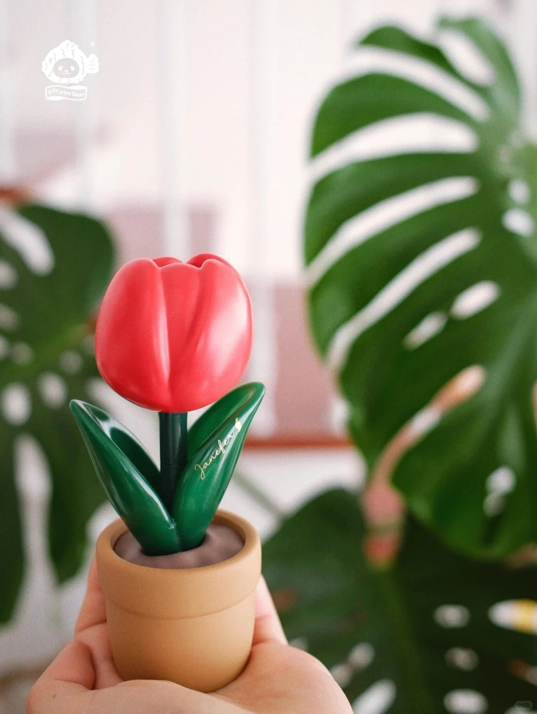 Jennifer's Gift - Fortune Lucky Red Tulip Potted Plant