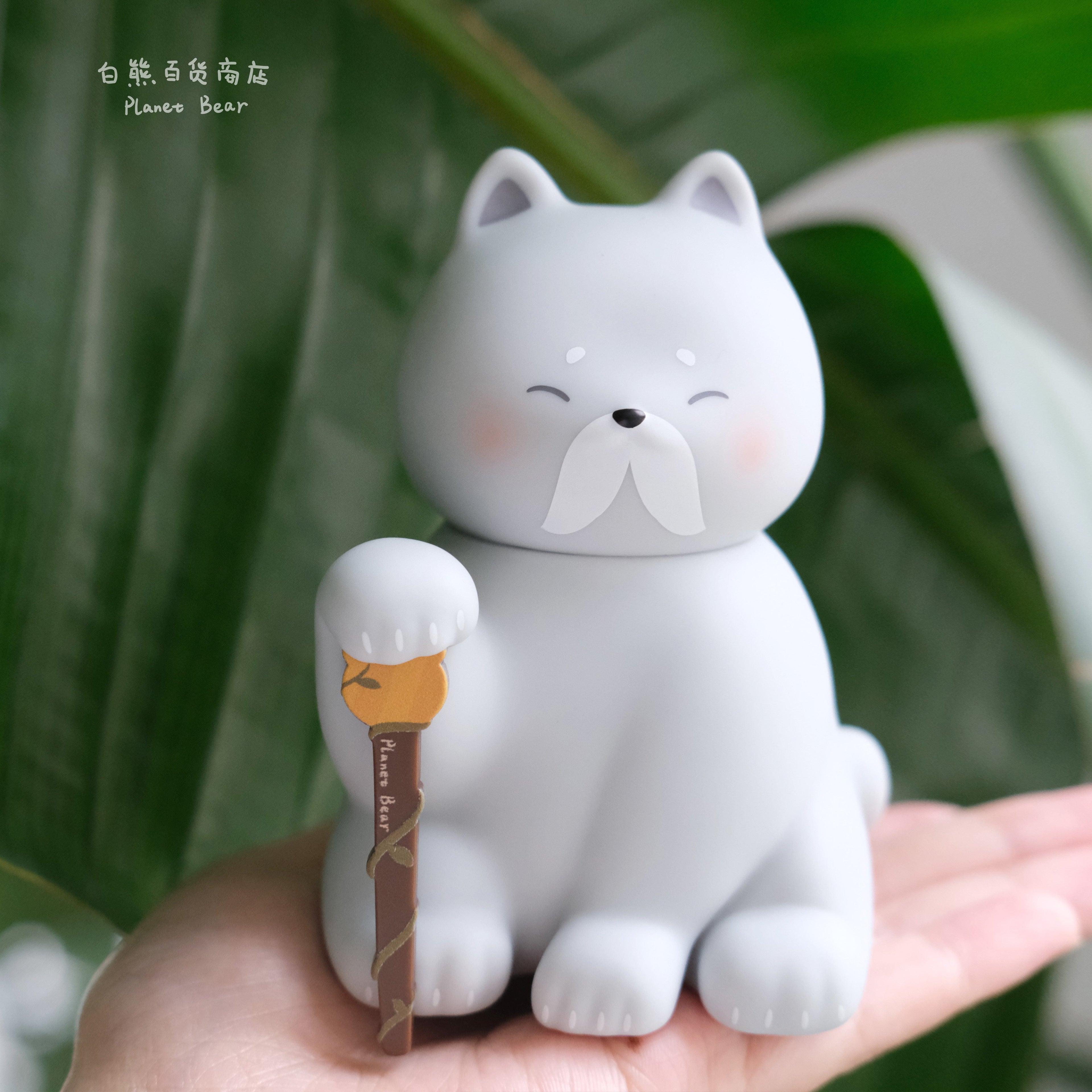 A cat named Xiaoji
