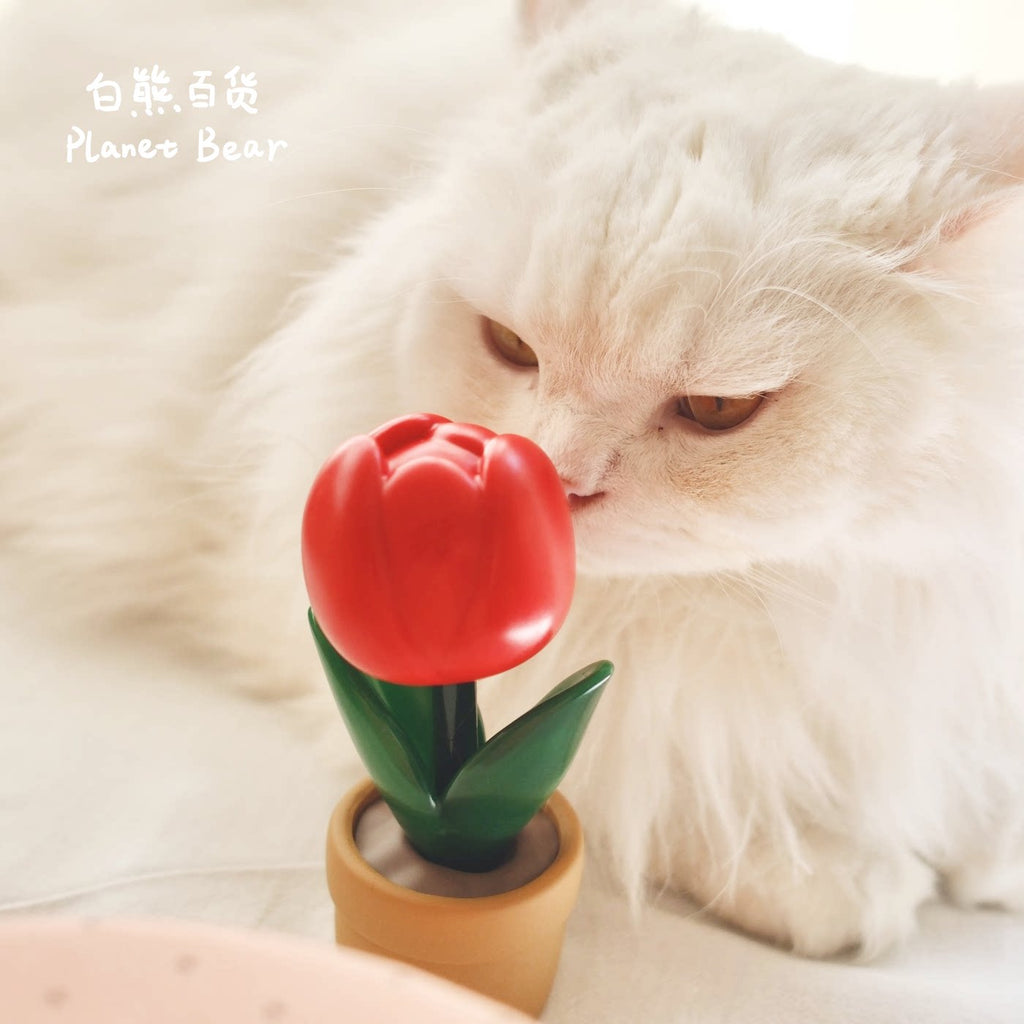 Jennifer's Gift - Fortune Lucky Red Tulip Potted Plant